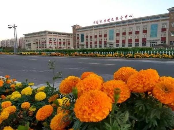 新疆維吾爾族自治區塔城地區塔城市兵團農九師一六三團通信系統
